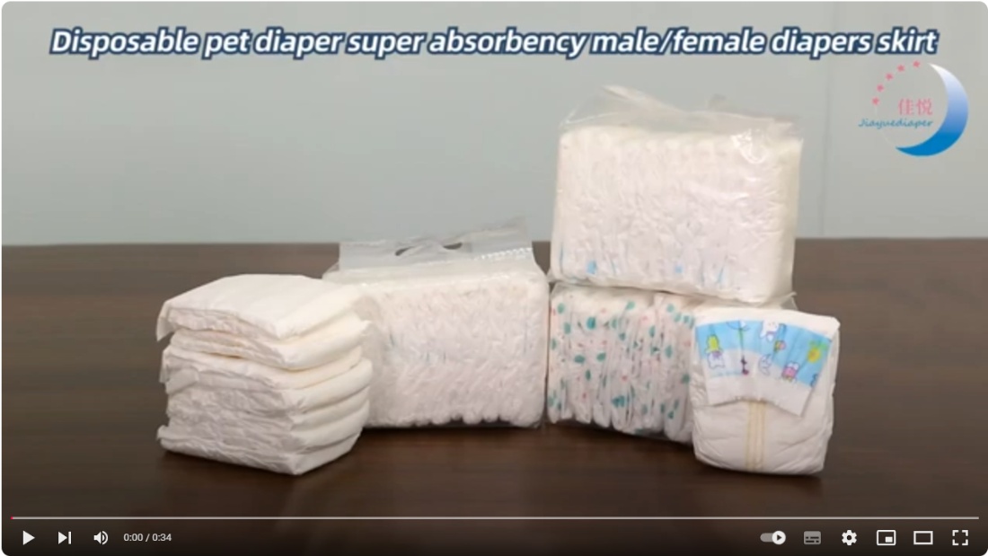 Pet Diaper Wearing Tutorial